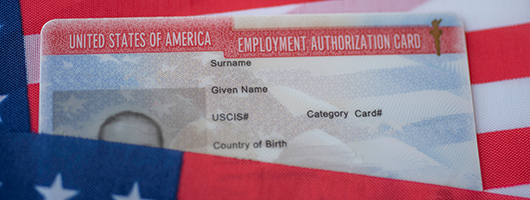 Employment Authorization Card