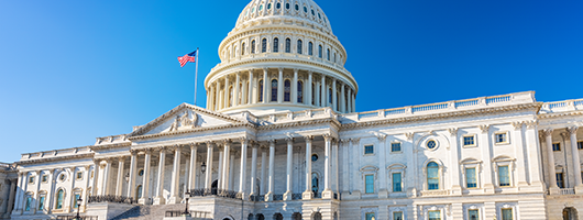 United States Capitol