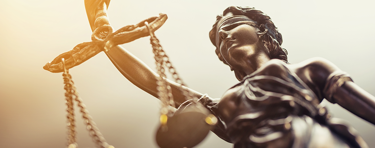 AILA Law Journal