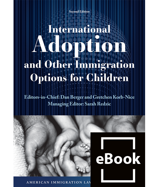 International Adoption and Other Immigration Options for Children