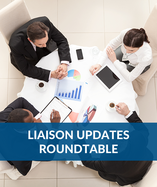 Liaison Updates: Conversation with the AILA DOS Liaison Committee