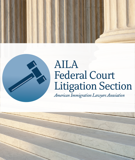 Federal Court Litigation Section Pre-Recorded Content: U.S. Immigration Detention and Bond Litigation – An Advanced Discussion